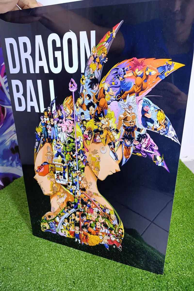 Cuadro con efecto espejo que muestra a Goku y Vegeta en pose de combate